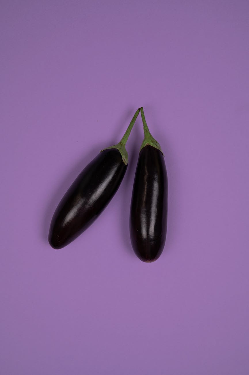damping off seedlings in eggplant.