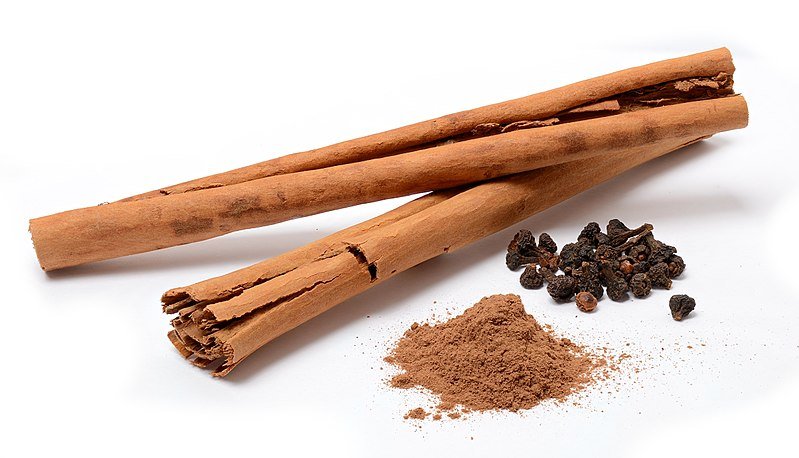 Ceylon cinnamon care and grow guide