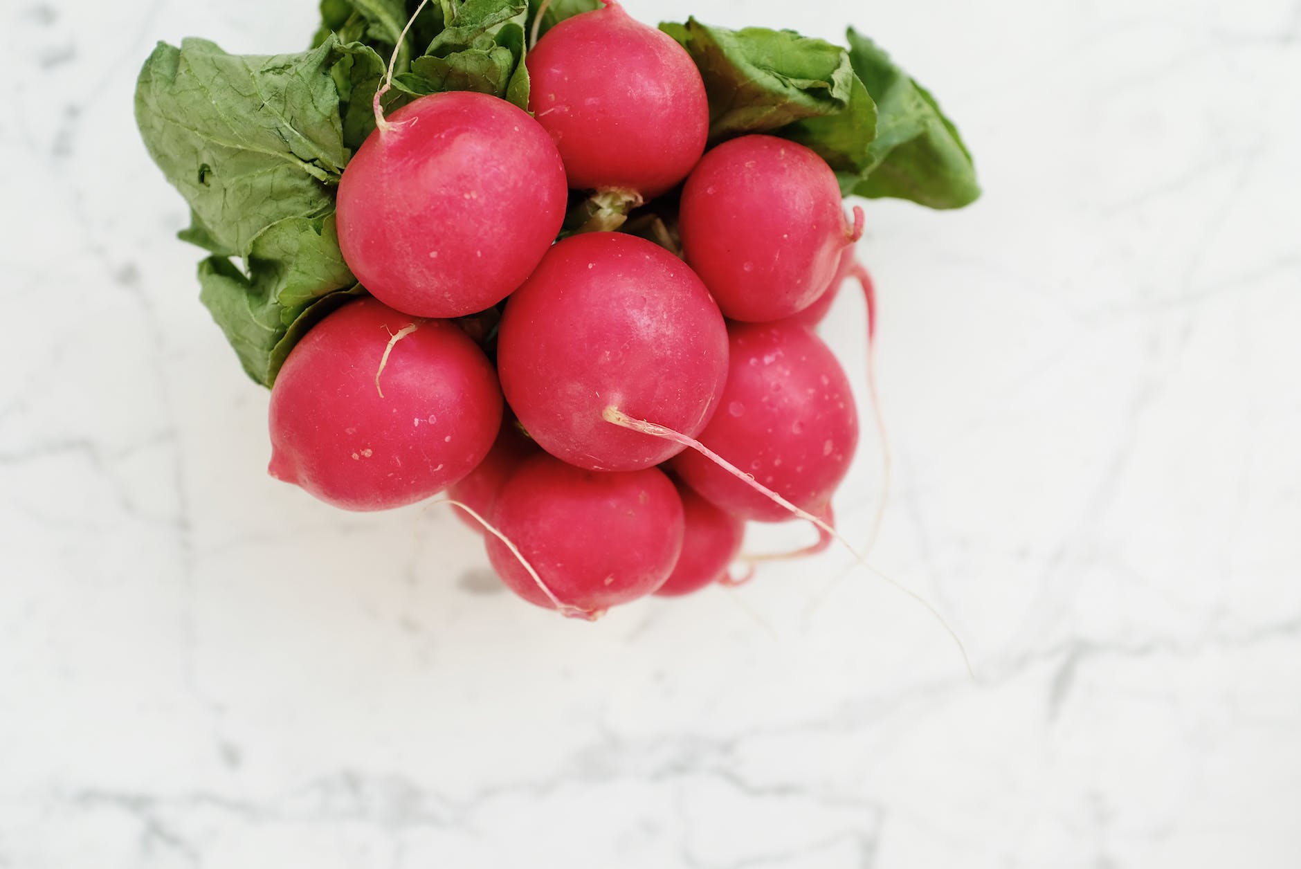 How To Take Care Of Radishes And What you Will Face As Beginners
